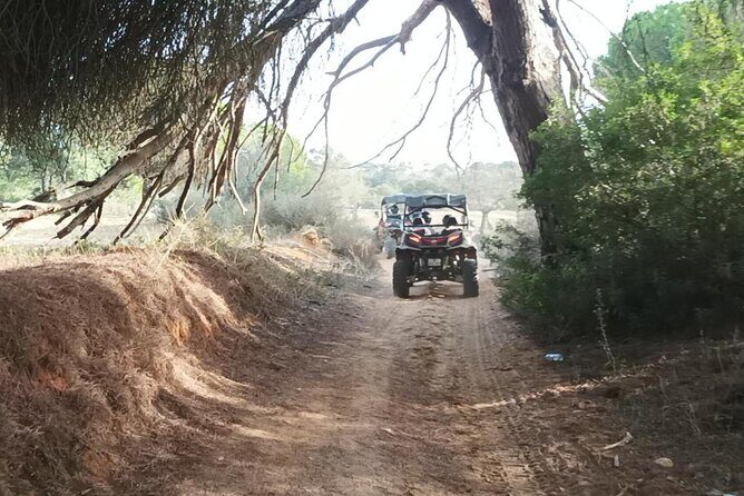Albufeira 1 hour Off-Road Tour Buggy Adventure Tour - Guides Who Make the Hour: George and the Team Energy