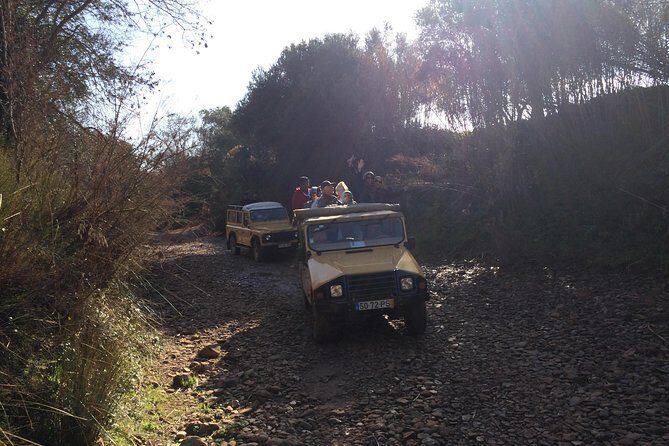 Algarve Jeep Safari - Day Trip - Paderne and the Goji farm: animals, herbs, spices, and fire water