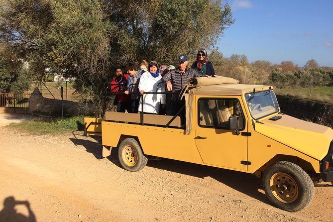 Algarve Mountains & Villages - Half Day Jeep Safari Trip - Off-Road Tracks and Guided Panoramas: What the Ride Feels Like