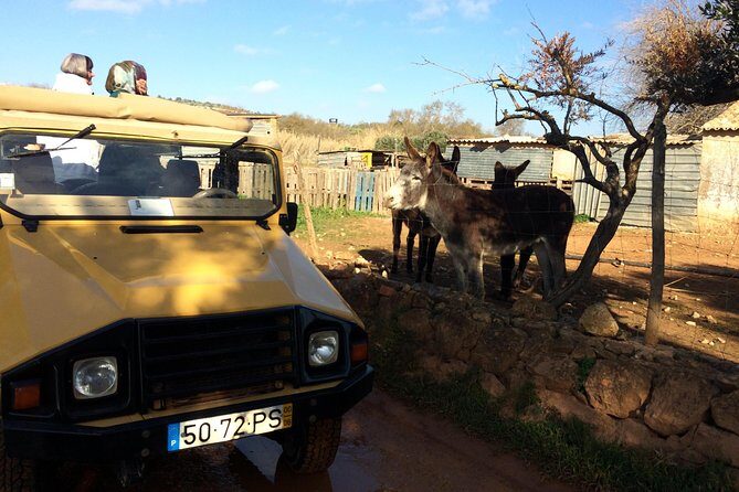 Algarve Mountains & Villages - Half Day Jeep Safari Trip - Alte for Pastéis de Nata: The Algarve Village Stop You’ll Actually Remember