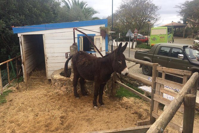 Algarve Mountains & Villages - Half Day Jeep Safari Trip - Getting to the Jeep: Pickup in Albufeira and the 4-Hour Rhythm