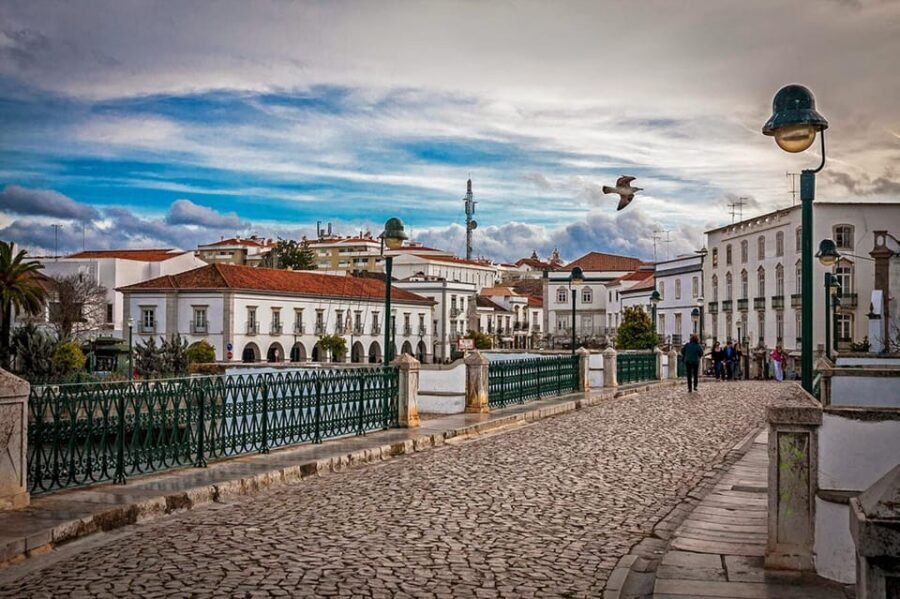 From Albufeira: Discover the Eastern Algarve Guided Day Trip - Olhão’s Moorish Fishing Village Look and the Fish Market Port Stop