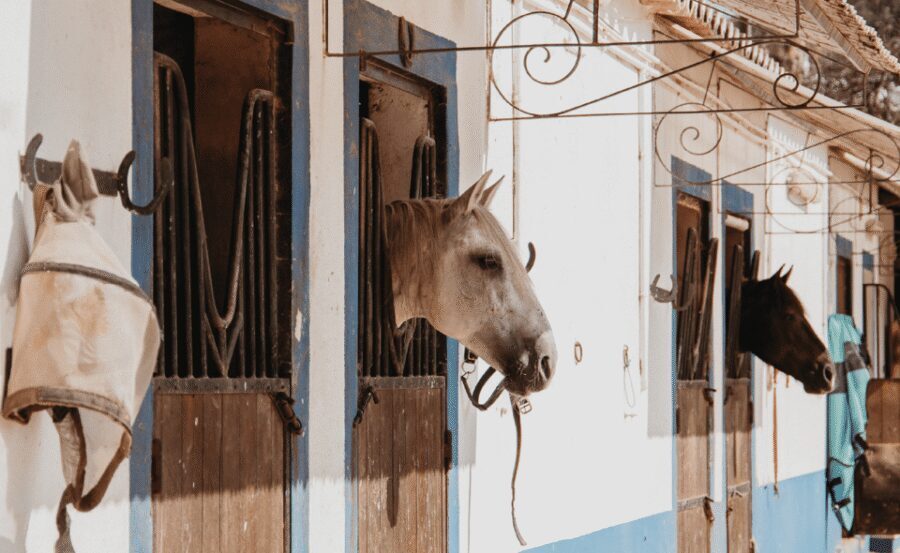From Albufeira: Horse Riding Tour with Pickup - Meet the Horses at the Villa Stable