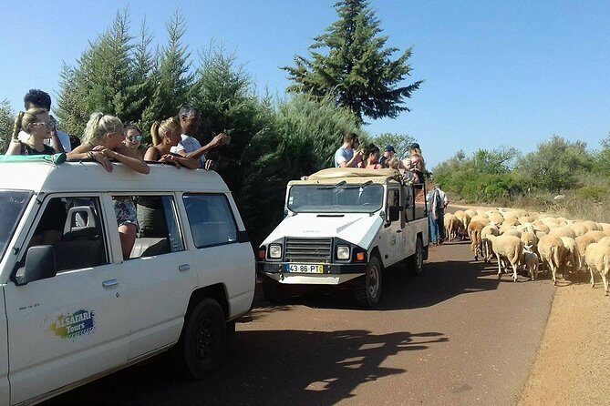 Half-Day Algarve Countryside and Villages Jeep Safari - The Benafim cafe break and small comforts that matter
