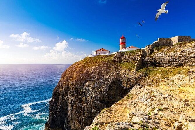 Half-Day Tour in Lagos and Sagres - Key Highlights Worth Your Time