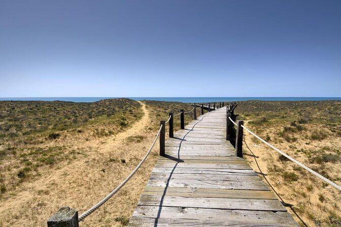 Sunset Beach Safari w/ Champagne & Chicken Piri Piri Dinner - A Private Albufeira Safari at Sunset: What the 3-Hour Ride Really Delivers